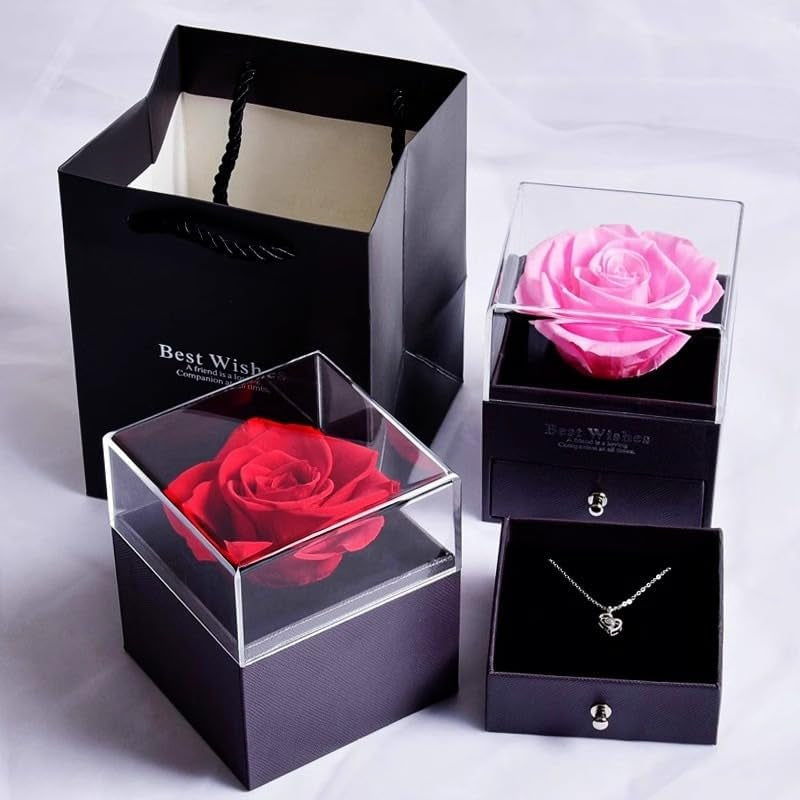 Christmas Preserved Real Rose Gifts for Women with I Love You Heart Necklace 100 Languages, Birthday Gifts for Mom Her Girlfriend Wife, Forever Eternal Flower for Anniversary, Red Roses