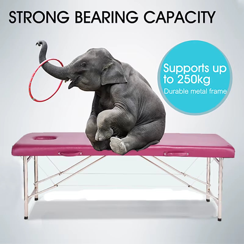 Portable Massage Table Professional Folding Aesthetic Spa Tattoo Stretchers Couch Beauty Salon Foldable Massage Bed Esthetique